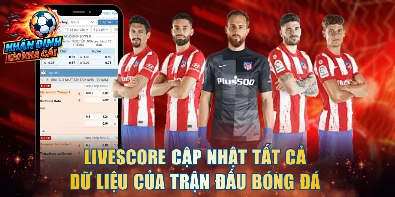 Livescore cập nhật tất cả dữ liệu của trận đấu bóng đá  